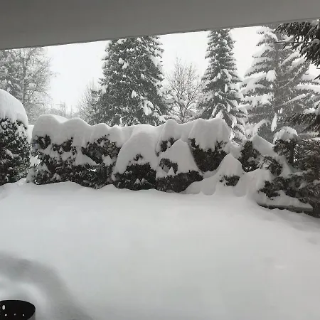 Grain D'or - 008 * 韦尔比耶