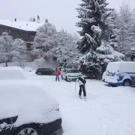 Grain D'or - 008 Verbier