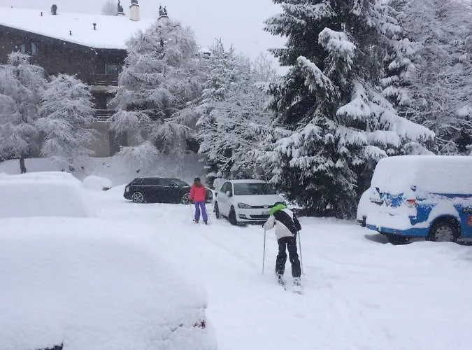 Grain D'or - 008 Verbier