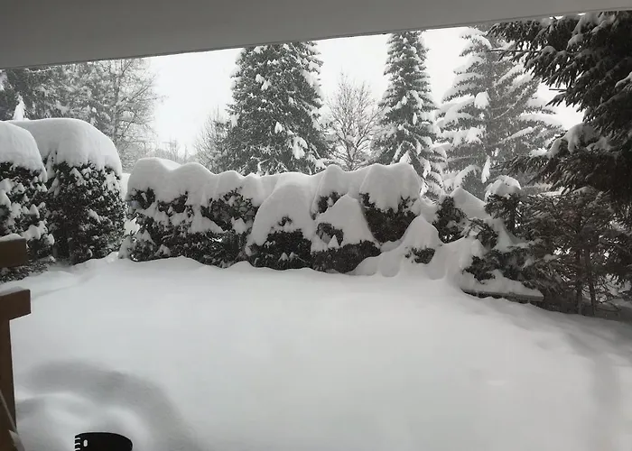 Grain D'or - 008 * Verbier